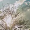 14  КЛОС (349) :: CLOSE WAYS ALL