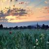 sunrise :: Elena Wymann