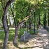 Кировск. Июнь :: Наталья Герасимова