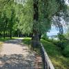 Кировск. Петровский сквер :: Наталья Герасимова