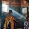 "-" :: Светлана Фокша
