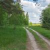 Лесная дорога :: Николай Викторович