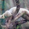 Orientarium ZOO Łódź :: Светлана Ищенко