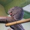 Orientarium ZOO Łódź :: Светлана Ищенко