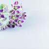 Flowers :: MAHMOOD • iNKSTECHSHUB PHOTOGRAPHY