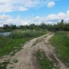 за городом :: Елена Шаламова