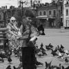 Голуби.. :: Виктор Фельдшеров
