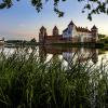Утро :: Николай Климович