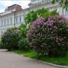 Цветёт сирень душистая :: Студия фотографии