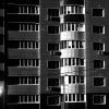 * :: Василий Палий