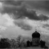 Хмурое утро :: София