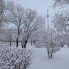Зимний день :: Андрей Хлопонин