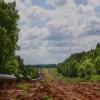 газпром-мечты сбываются...наверное... :: Артём Евтюхов