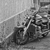 Мотоцикл британской марки Triumph :: Глeб ПЛATOB