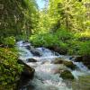 Река Белая. :: Tata Wolf