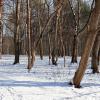 Кузьминский парк :: Игорь Белоногов