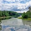 Зацвела речка... :: Лия ☼