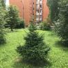 В с. Заворово :: Елена Семигина