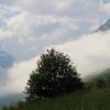 Упало облако на землю. :: Екатерина Леш