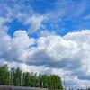 все перевернулось :: Владимир 