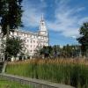 Пампасовая трава в городе :: Татьяна Машошина