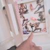 14  КЛОС (637) :: CLOSE WAYS ALL