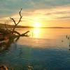 sunset :: Elena Wymann