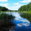 Природа в последний день июля. :: Милешкин Владимир Алексеевич