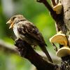 !!! :: kolyeretka 