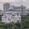 Вид на храмовый комплекс на Пискарёвском проспекте с высоты девятиэтажного дома. :: Александр Максимов