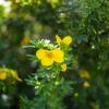 Природа :: Yuriy V