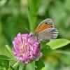 Вкусно! :: Валентина Нефёдова