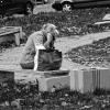 Хочется просто подойти и утешить… :: Глeб ПЛATOB