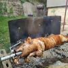 Выходные прошли хорошо... :: Ольга Лебедева (Беловласова)