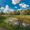 Пейзаж :: василий 