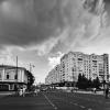 №351 :: Alex Bes