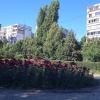 июль жара :: Елена Шаламова