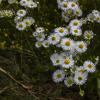 Природа :: Николай