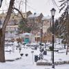 ЦВЕТНИК :: Anguss Grand