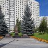 На улице Кадырова :: Валерий Иванович