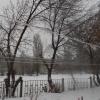 ледяной день :: Елена Шаламова