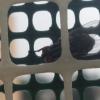 118 (93) :: CLOSE WAYS ALL