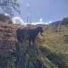 Орман. :: Murat Bukaev 
