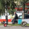 Перевозчик деревьев :: Елена Минина