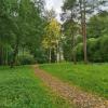 По тропинке в Осень :: Мария Васильева