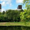 Парк на Яузе. :: Любимова Ольга 