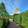 Аллея Верхнего сада. :: Лия ☼