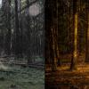 Сравнение фотографий с Canon и Panasonic :: Зореслав Волков