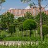Парк Галицкого в городе Краснодар :: Игорь Сикорский