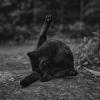 КоТоГраФия :: Константин Сафронов